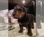 Small Photo #1  Breeder Profile in MOSCOW, ID, USA