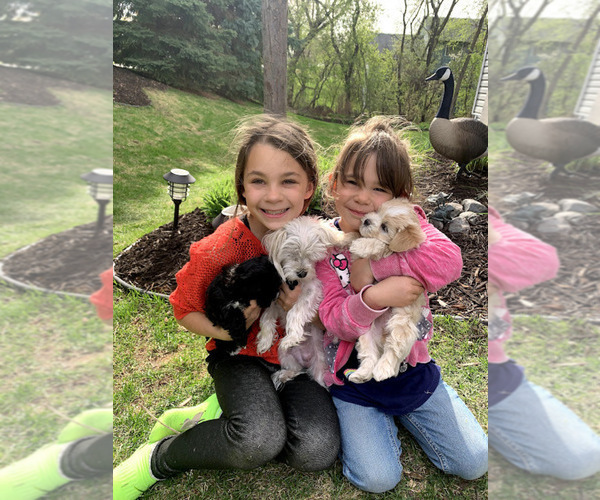 Medium Photo #13  Breeder Profile in FARMINGTON, MN, USA