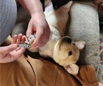 Small #16 Breeder Profile image
