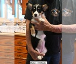 Small #4 Breeder Profile image