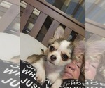 Small #24 Breeder Profile image