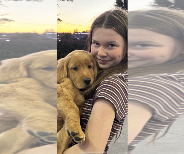 Medium Photo #5  Breeder Profile in EXETER, RI, USA