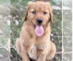 Small #5 Breeder Profile image