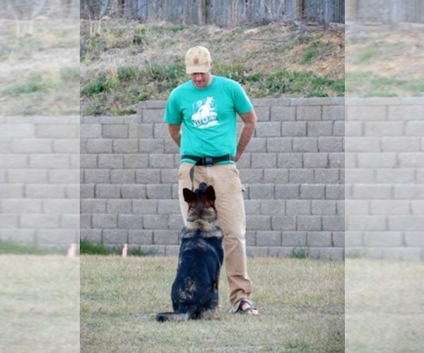 Medium Photo #1  Breeder Profile in MAUMELLE, AR, USA