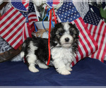 Small #34 Breeder Profile image
