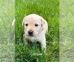 Small #9 Breeder Profile image