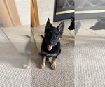 Small #4 Breeder Profile image