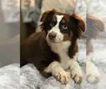 Small Photo #1  Breeder Profile in BETHANY, CT, USA