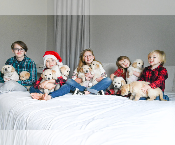 Medium Photo #1  Breeder Profile in OTTUMWA, IA, USA