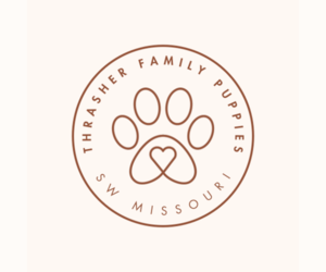 Golden Retriever Dog Breeder near BUFFALO, MO, USA