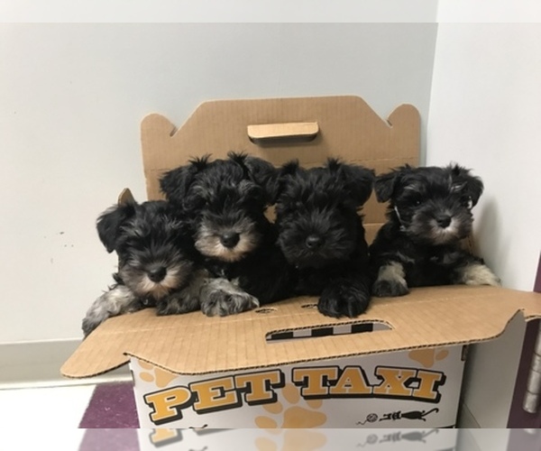 Medium Photo #1  Breeder Profile in MERIDEN, KS, USA