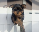 Small #15 Breeder Profile image