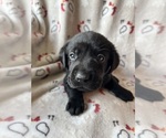 Small #3 Breeder Profile image