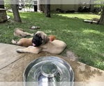Small #8 Breeder Profile image