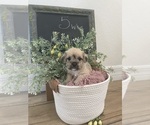Small #4 Breeder Profile image