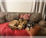 Small #5 Breeder Profile image