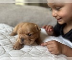 Small #5 Breeder Profile image