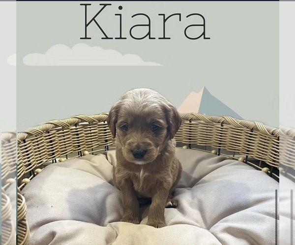 Medium Photo #4  Breeder Profile in LA GRANGE, KY, USA