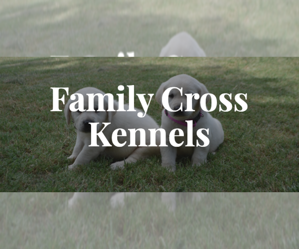 Medium Photo #1  Breeder Profile in CLARENDON, TX, USA