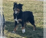 Small #2 Breeder Profile image