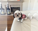 Small #3 Breeder Profile image