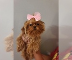 Small #17 Breeder Profile image