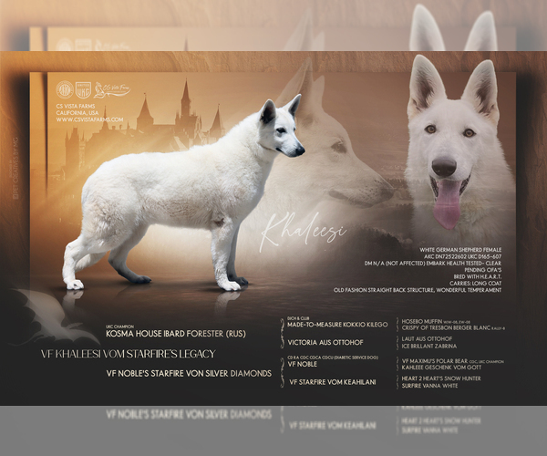 Medium Photo #10  Breeder Profile in BUTTE VALLEY, CA, USA