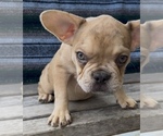 Small #3 Breeder Profile image