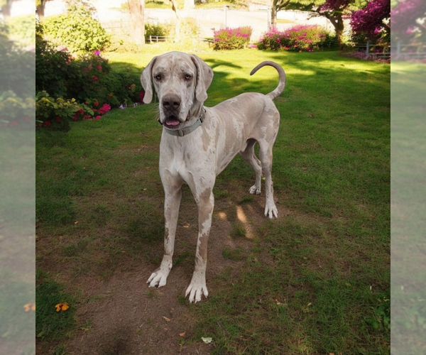 Medium Photo #2  Breeder Profile in DENHAM SPRINGS, LA, USA