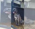 Small #7 Breeder Profile image