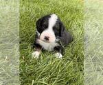 Small #7 Breeder Profile image