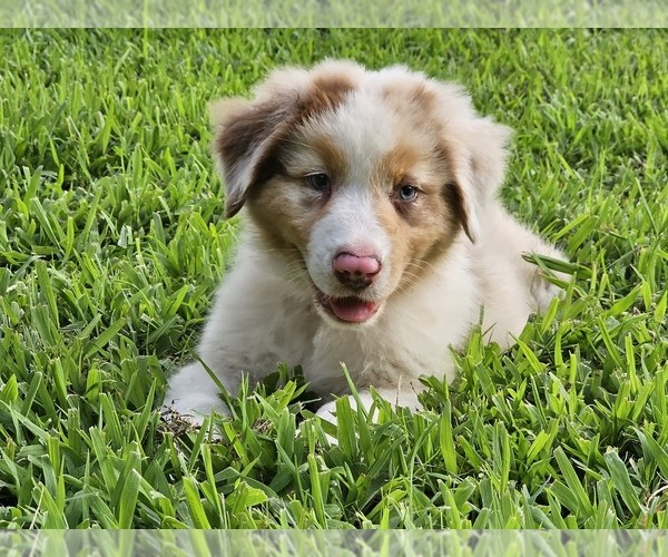 Medium Photo #1  Breeder Profile in VIRGINIA BEACH, VA, USA