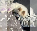 Small #2 Breeder Profile image