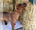 Small #3 Breeder Profile image