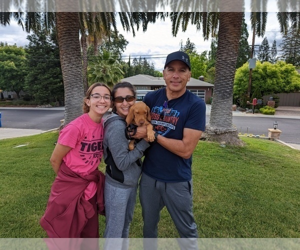 Medium Photo #8  Breeder Profile in LOS GATOS, CA, USA