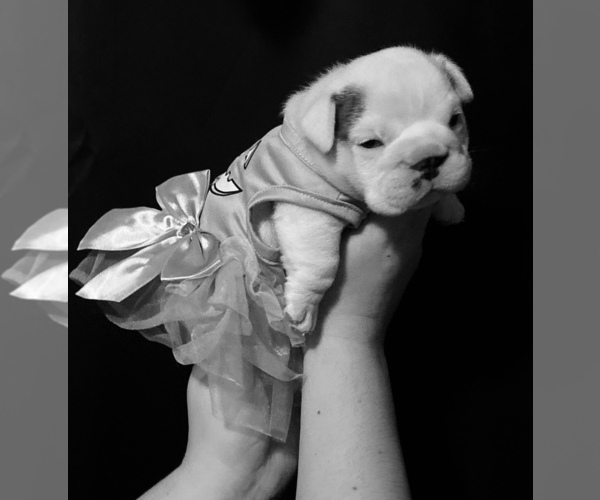 Medium Photo #1  Breeder Profile in MADRAS, OR, USA