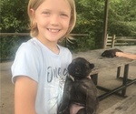 Small #5 Breeder Profile image