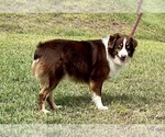 Small #27 Breeder Profile image