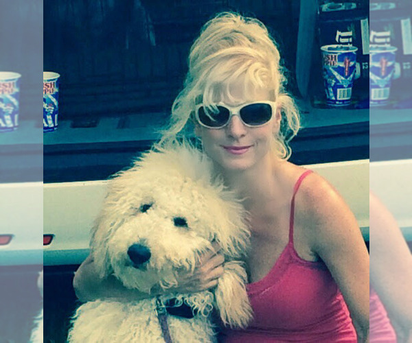 Medium Photo #1  Breeder Profile in VERMILION, OH, USA
