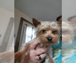 Small #3 Breeder Profile image