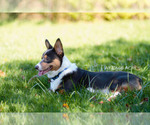 Small #2 Breeder Profile image