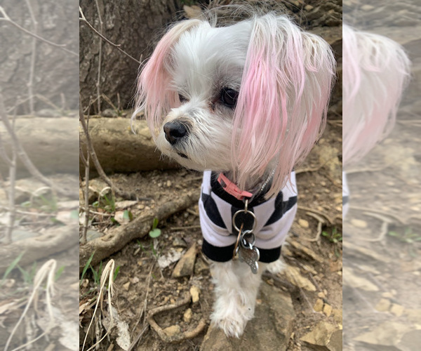 Medium Photo #20  Breeder Profile in FARMINGTON, MN, USA