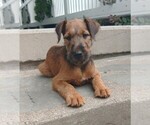Small #8 Breeder Profile image