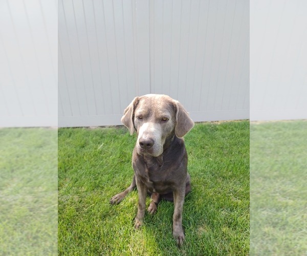 Medium Photo #1  Breeder Profile in TREMONTON, UT, USA