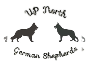 German Shepherd Dog Dog Breeder near CORNELL, MI, USA
