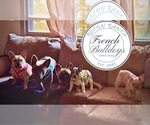 Small breeder photo