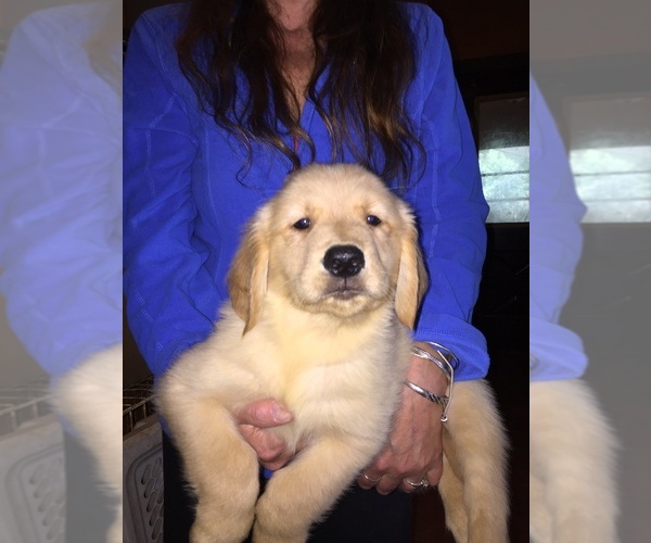 Medium Photo #58  Breeder Profile in LAKE GEORGE, NY, USA