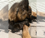 Small #5 Breeder Profile image