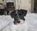 Small #5 Breeder Profile image