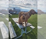 Small #58 Breeder Profile image
